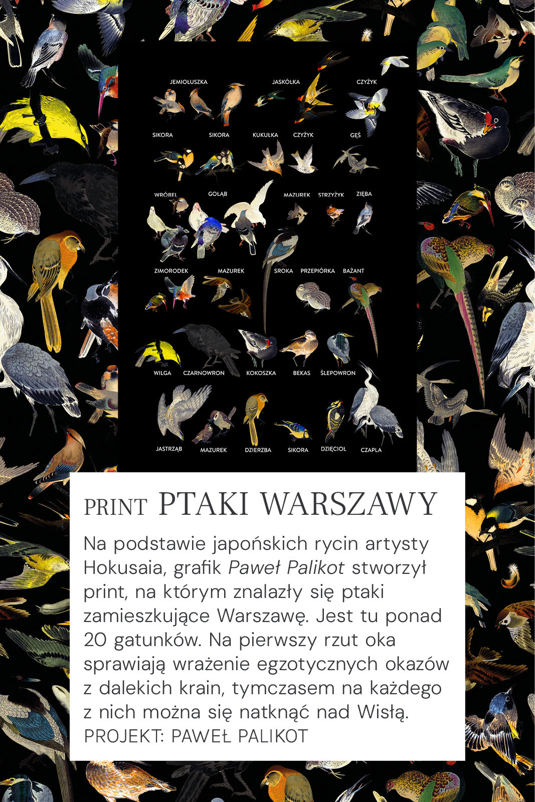 Sukienka PETARDA print mini ptaki Warszawy
