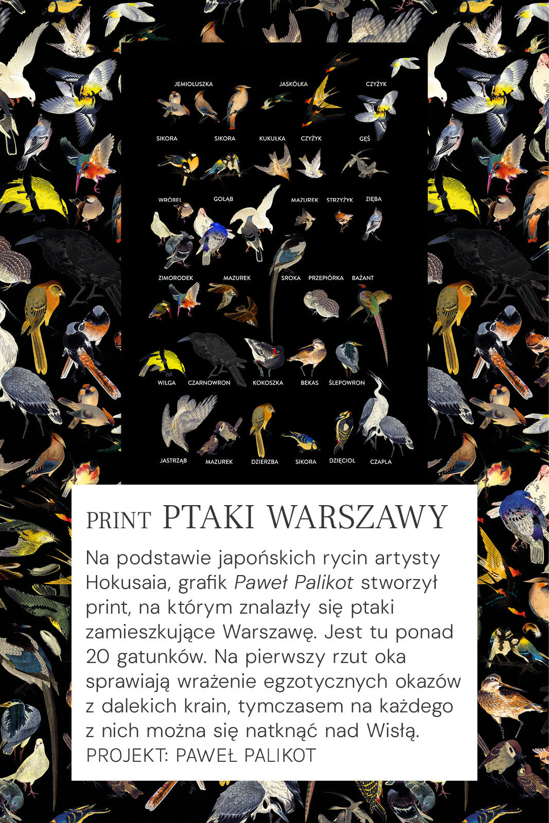 Print Ptaki Warszawy – kolorowy wzór z ponad 20 gatunkami ptaków, inspirowany japońskimi rycinami, idealny na odzież damska.