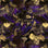 print Dreamworld gold