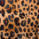 print wild leo